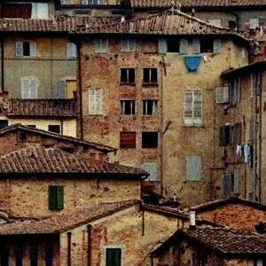 Siena Rooftops